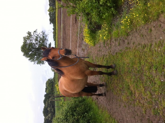 Photo de profil de marieduegain