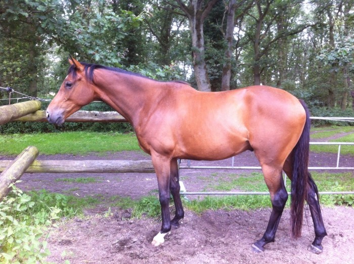 Photo de profil de marilyn28210