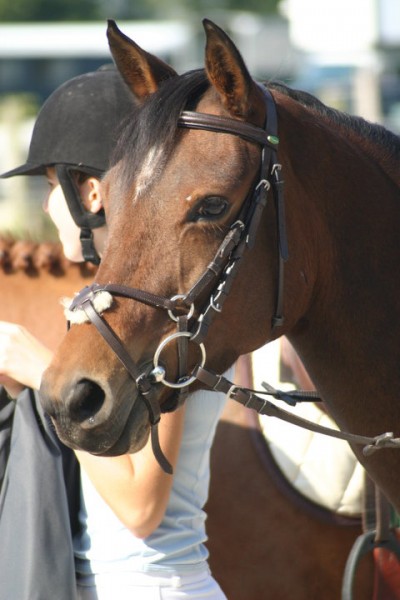 Photo de profil de marilys33