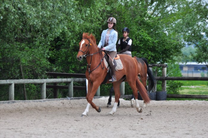 Photo de profil de marinegsp