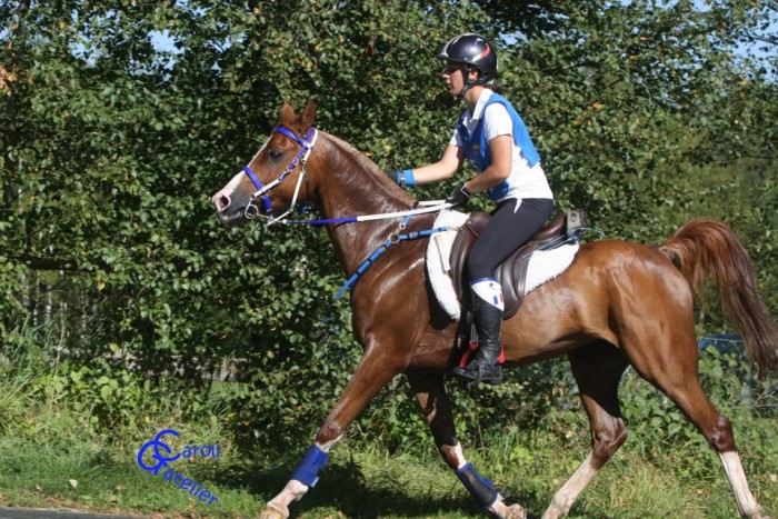 Photo de profil de marion47