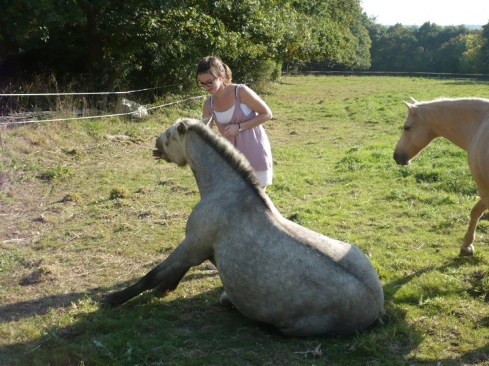 Photo de profil de marionallard