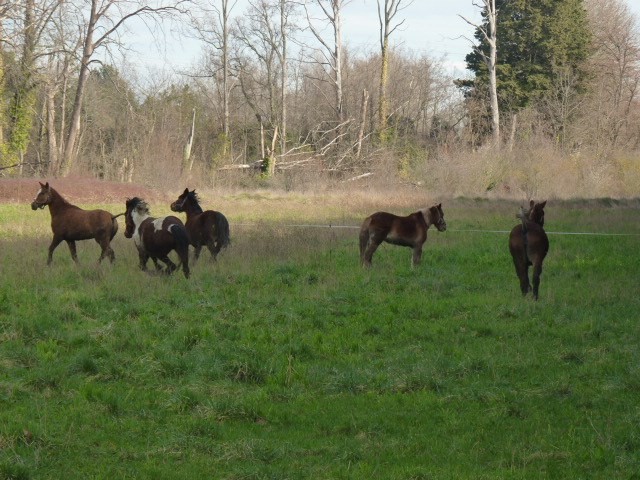 Photo de profil de masdelair