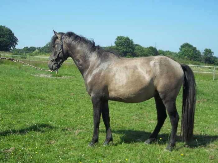 Photo de profil de maswan