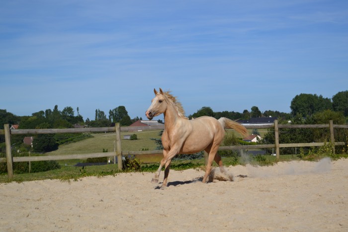 Photo de profil de matitou93