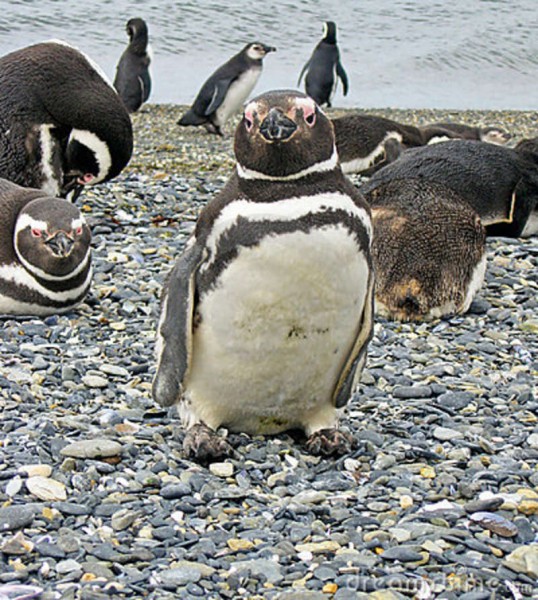 Photo de profil de maxcoll3008