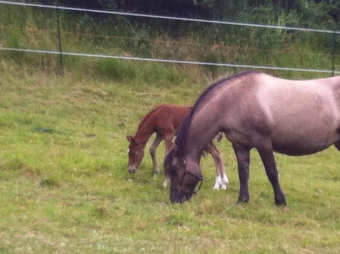 Photo de profil de mayou76