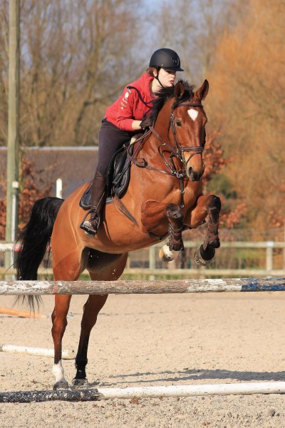 Photo de profil de mbrl