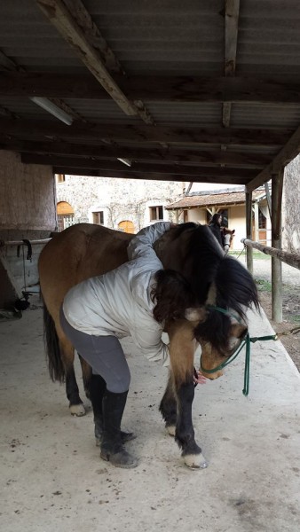 Photo de profil de melaine.m