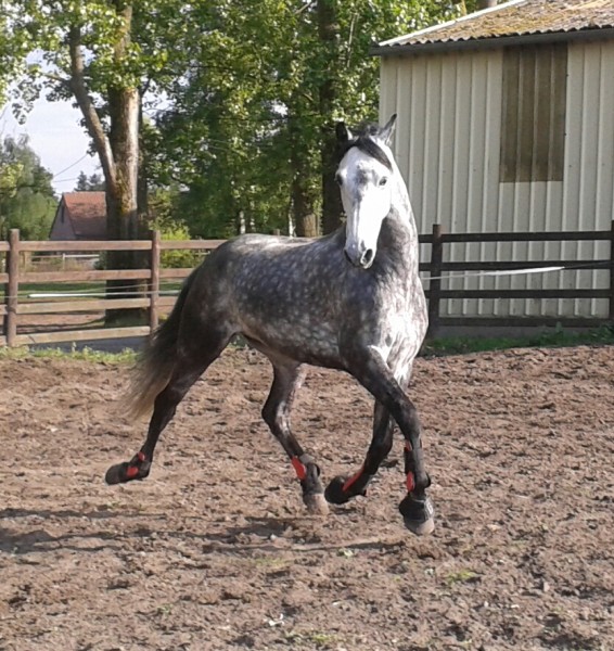 Photo de profil de meli_melo