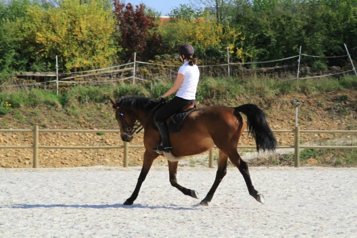 Photo de profil de melisendre54