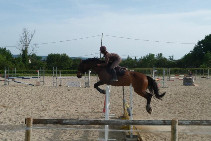 Photo de profil de mercatm