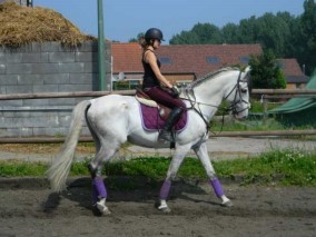 Photo de profil de mermouth
