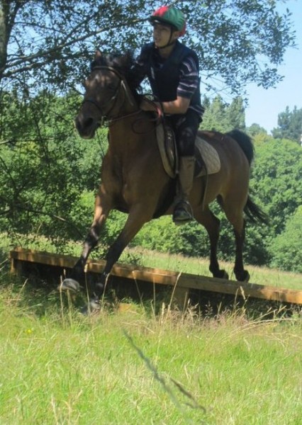 Photo de profil de merwan44