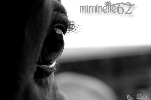 Photo de profil de miminette62