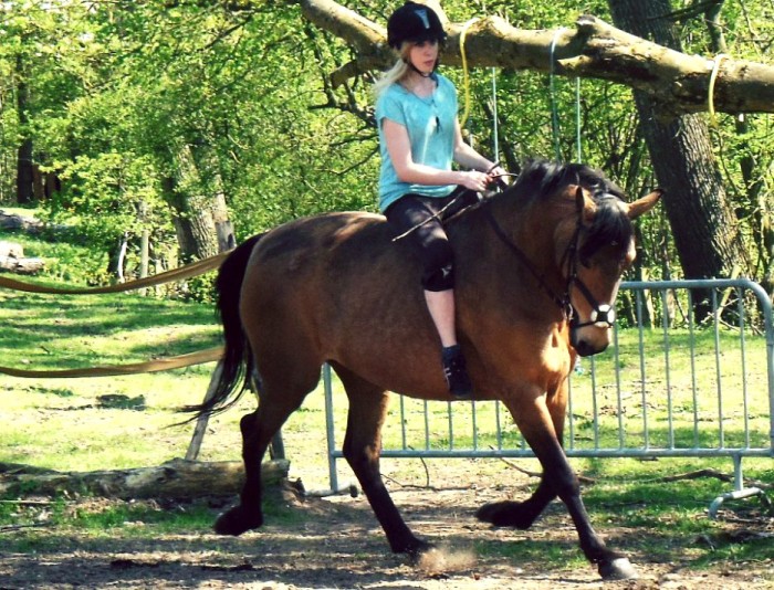 Photo de profil de mizzidy
