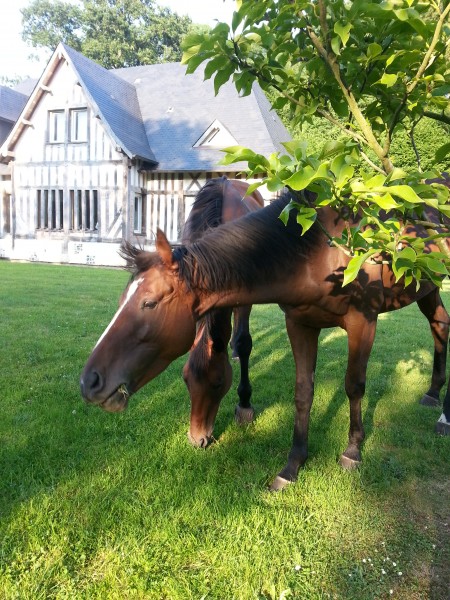 Photo de profil de mlle_chocolat