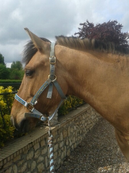 Photo de profil de mmonnin