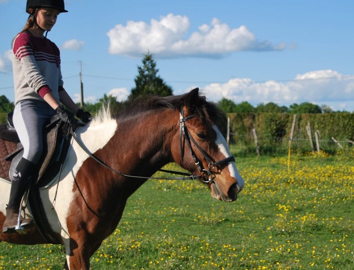 Photo de profil de mon-cheval-x