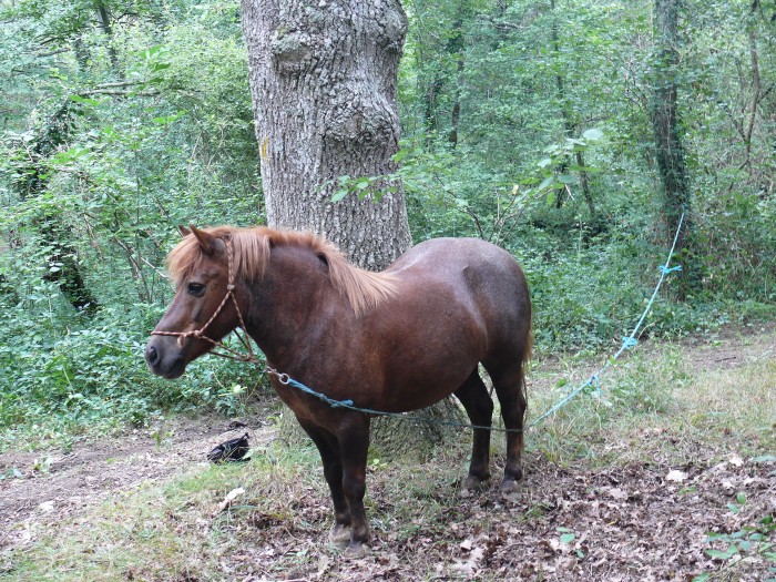Photo de profil de mounette012