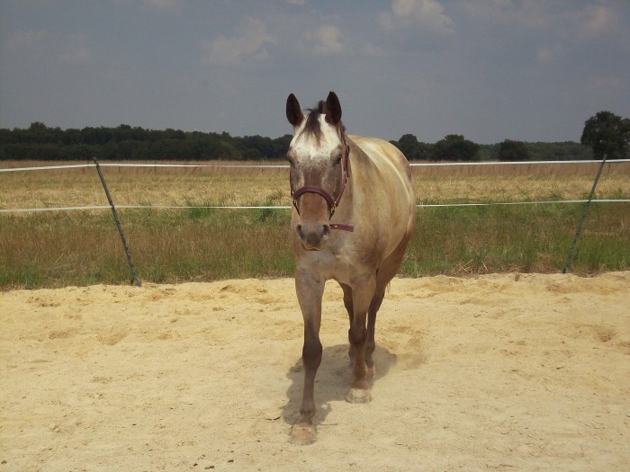 Photo de profil de murmuretoto