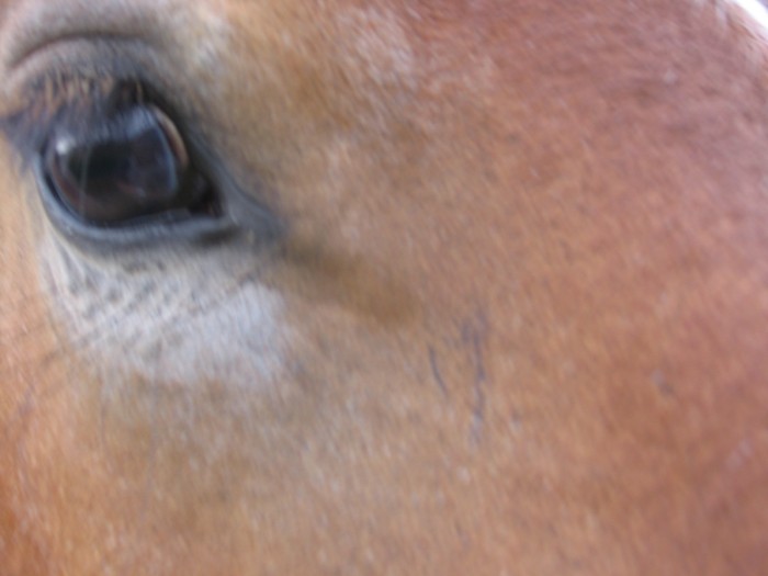 Photo de profil de nad.heuch