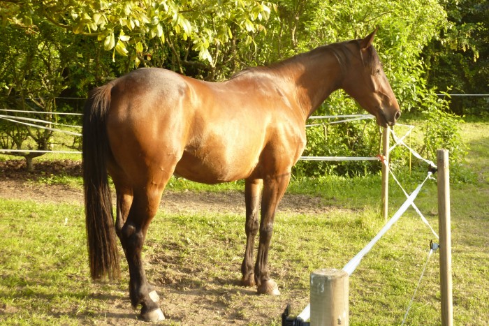 Photo de profil de nadou22