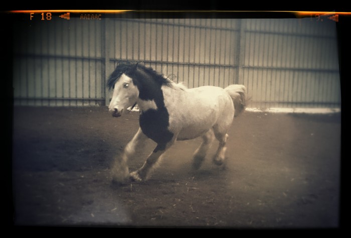 Photo de profil de nawack