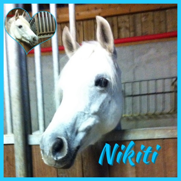 Photo de profil de nikitti