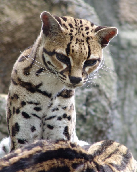 Photo de profil de ninimama3131