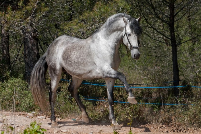 Photo de profil de noirdbo