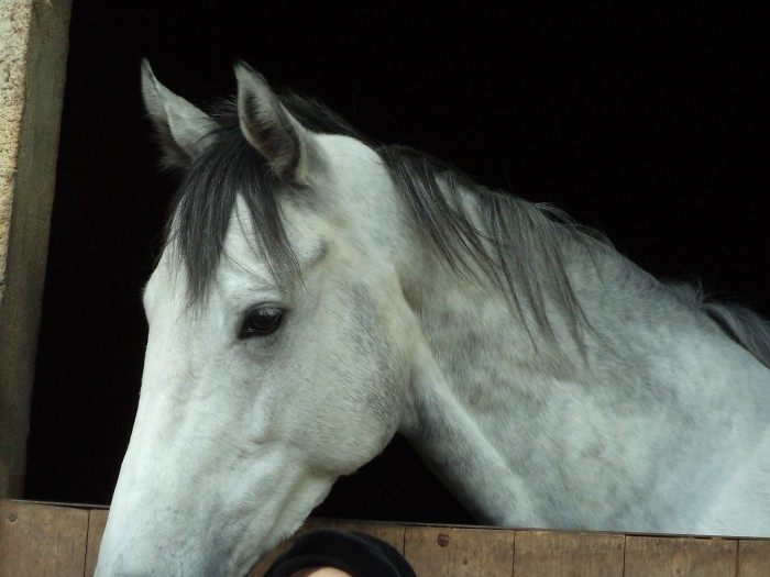 Photo de profil de nounouche33