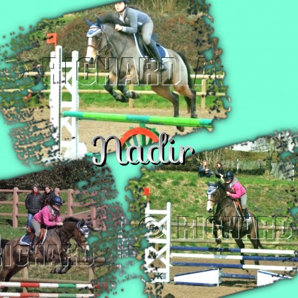 Photo de profil de npum