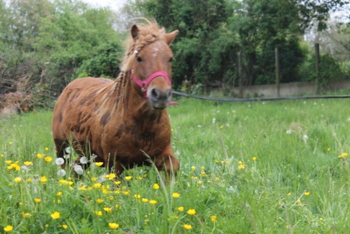 Photo de profil de oceane62