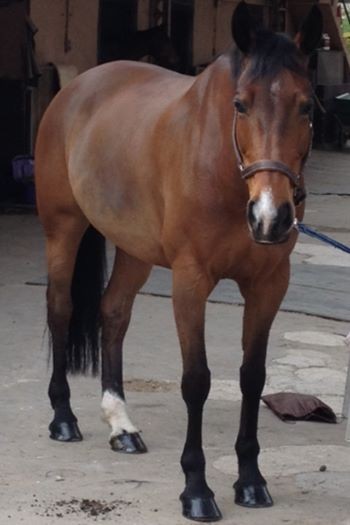 Photo de profil de ohtoplov06