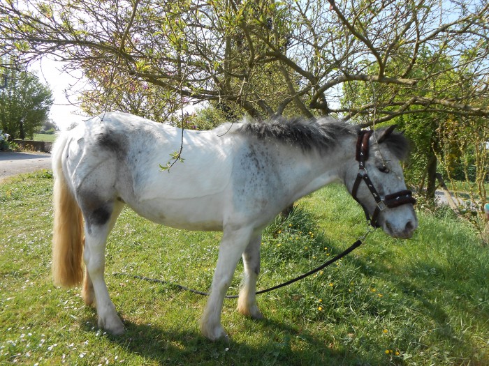 Photo de profil de operette37