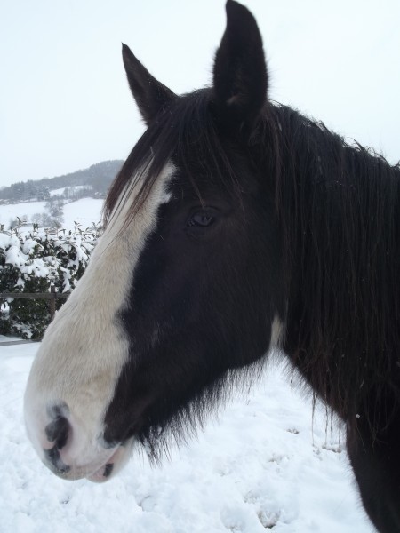 Photo de profil de paco2
