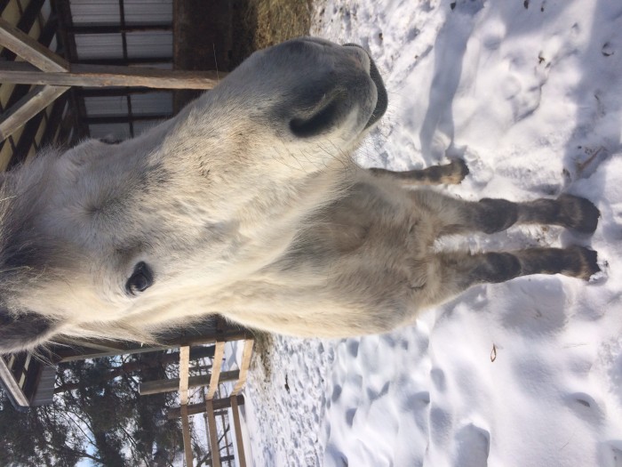 Photo de profil de _pampelune