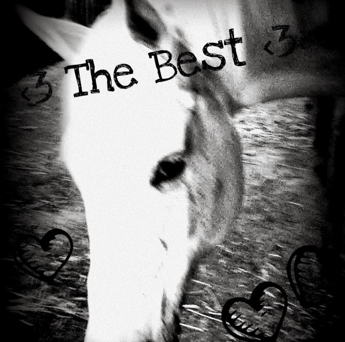 Photo de profil de peacesintheair