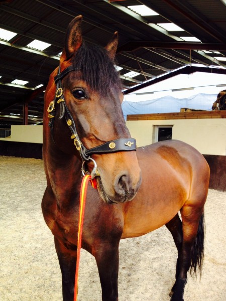 Photo de profil de piiker