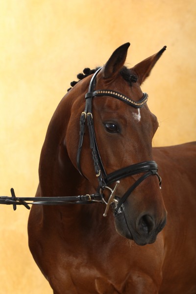 Photo de profil de ponsard
