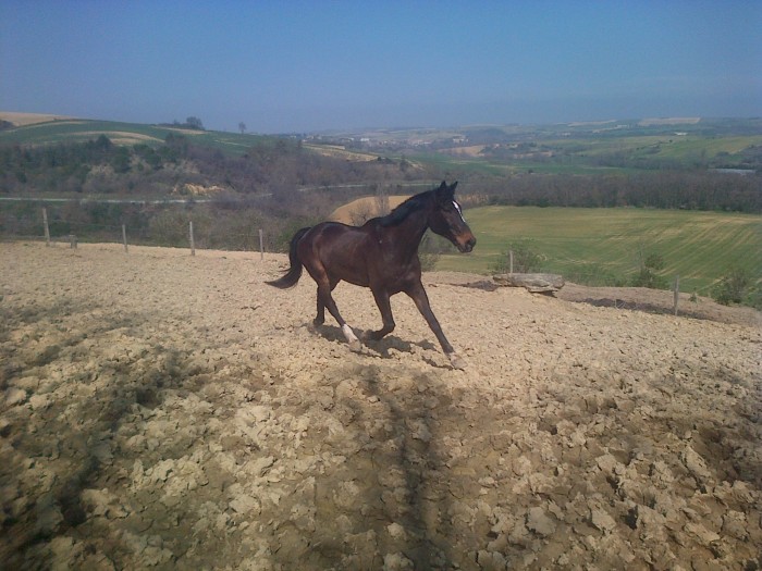 Photo de profil de poupips
