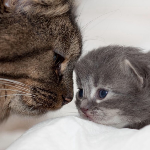 Photo de profil de pozeidone