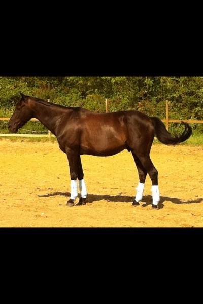 Photo de profil de ptiteloute