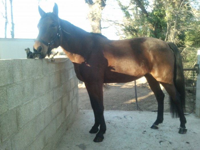 Photo de profil de qualinedupoli