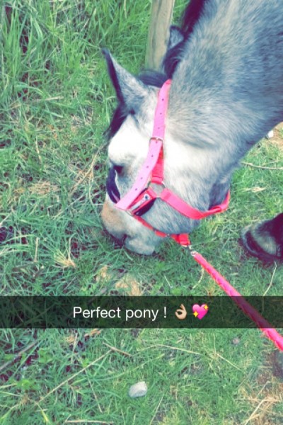 Photo de profil de ramsesmanon