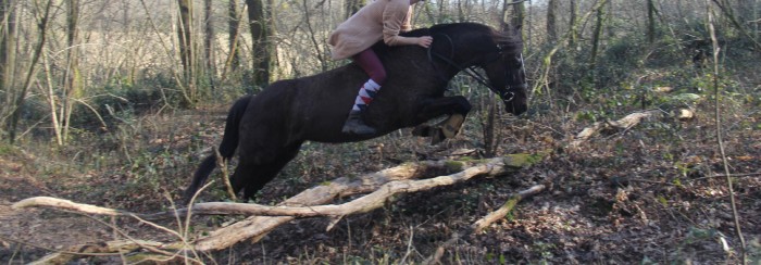 Photo de profil de revenge5