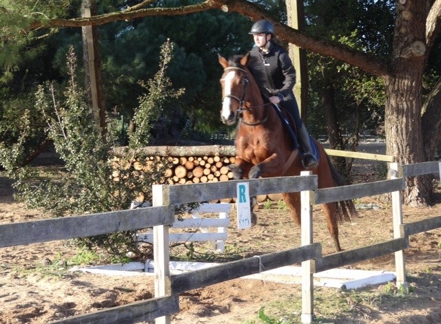 Photo de profil de riversight