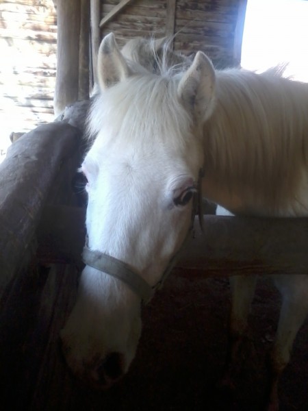 Photo de profil de romye31