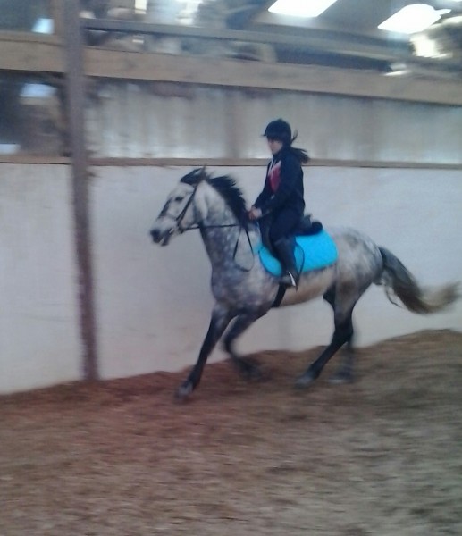 Photo de profil de royal.sarah